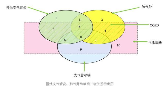 慢阻肺;肺功能檢測儀;呼吸訓練;哮喘;咳嗽