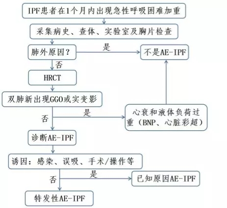 鐘南山-肺-肺康復(fù)-特發(fā)性肺纖維化-肺炎-間質(zhì)性肺炎-間質(zhì)性肺纖維化-IPF-AE-IPF-HRCT-GGO